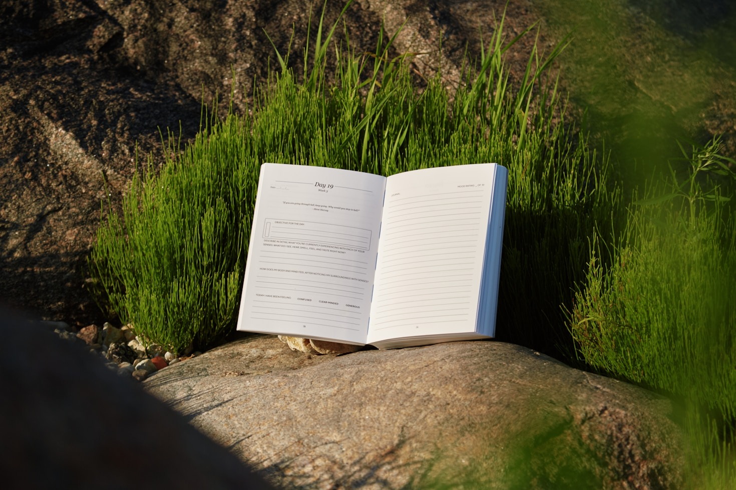 Stories of Resilience: Overcoming Life’s Challenges