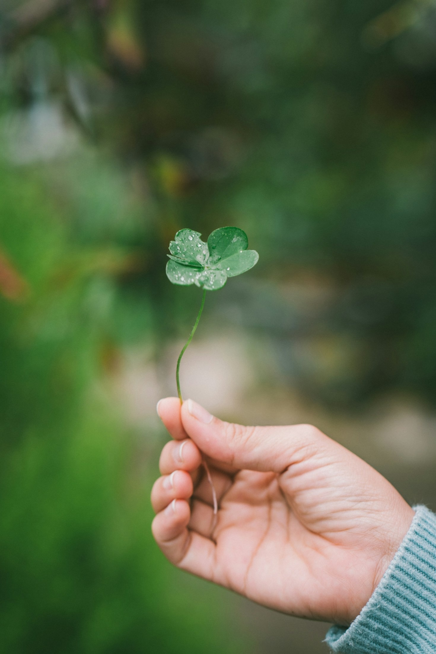 The Role of Family in Personal Growth